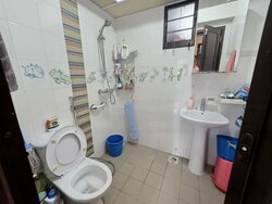 segar-palmview photo thumbnail #6